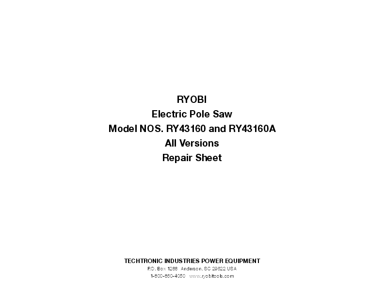 6 Amp Electric 8" Pole Saw RYOBI Tools